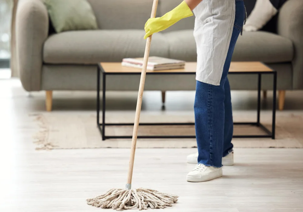 Read more about the article What should I clean in my house every week?